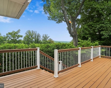 3301 Shirley Ln - Photo Thumbnail 5