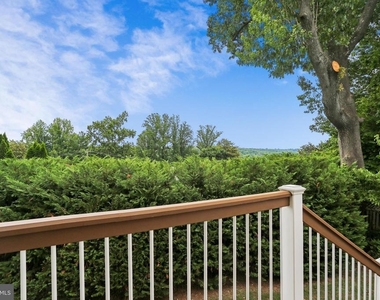 3301 Shirley Ln - Photo Thumbnail 6