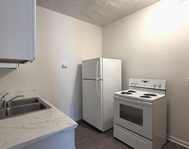 10 Dorman Street - Photo Thumbnail 6