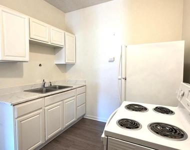10 Dorman Street - Photo Thumbnail 7