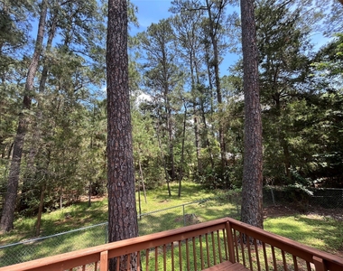 112 Huelo Ct - Photo Thumbnail 18