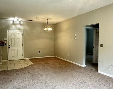 6985 Ortega Woods Drive - Photo Thumbnail 4