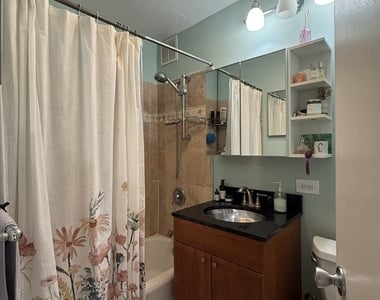 1355 N Sandburg Terrace - Photo Thumbnail 8
