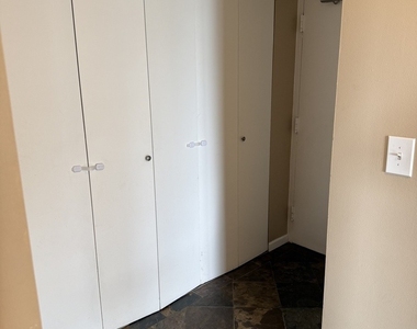 1355 N Sandburg Terrace - Photo Thumbnail 9