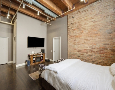 1727 S Indiana Avenue - Photo Thumbnail 16