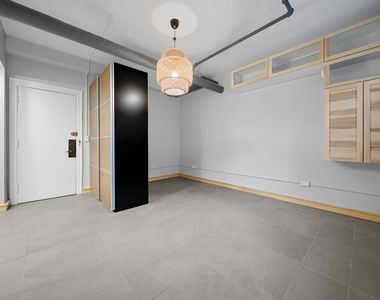 604 W Addison Street - Photo Thumbnail 5