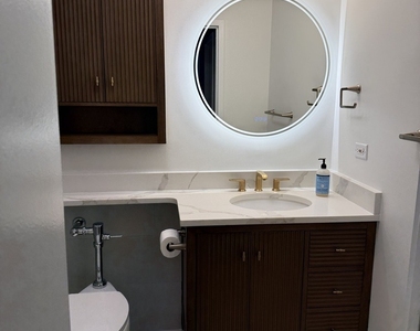 2800 N Lake Shore Drive - Photo Thumbnail 14
