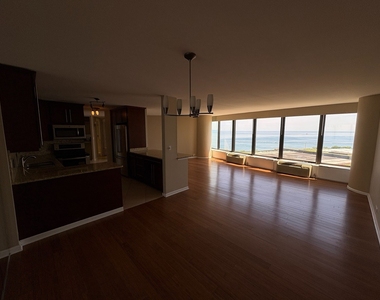 505 N Lake Shore Drive - Photo Thumbnail 6