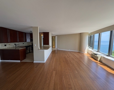 505 N Lake Shore Drive - Photo Thumbnail 5