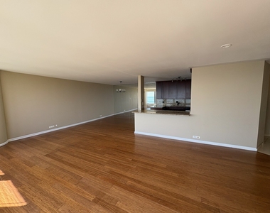 505 N Lake Shore Drive - Photo Thumbnail 3