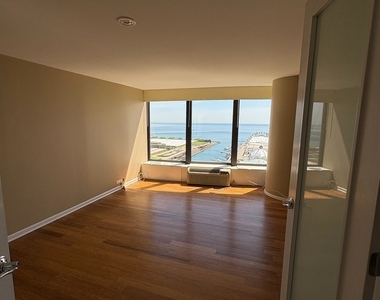 505 N Lake Shore Drive - Photo Thumbnail 9