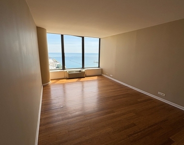 505 N Lake Shore Drive - Photo Thumbnail 11