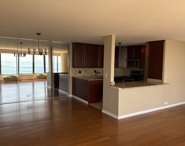 505 N Lake Shore Drive - Photo Thumbnail 4