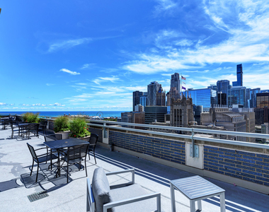 222 E Pearson Street - Photo Thumbnail 12