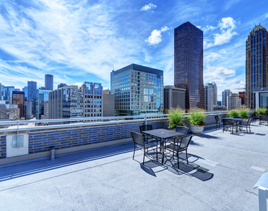 222 E Pearson Street - Photo Thumbnail 13