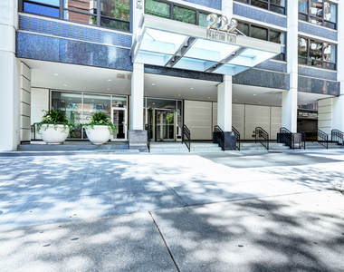 222 E Pearson Street - Photo Thumbnail 8