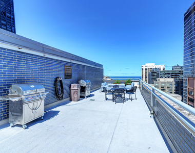 222 E Pearson Street - Photo Thumbnail 14