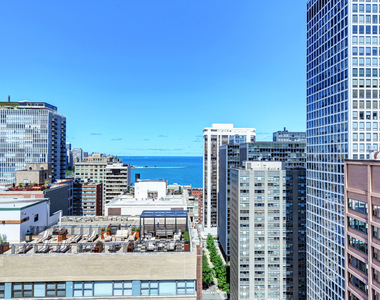 222 E Pearson Street - Photo Thumbnail 15