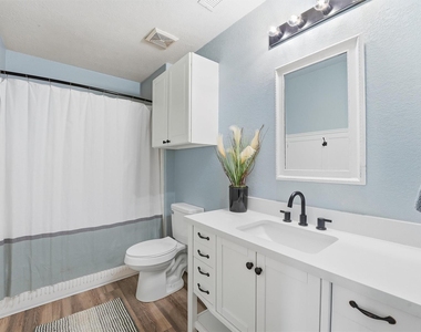 6215 Lake Chase Court - Photo Thumbnail 18