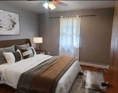 44 Vernon Street - Photo Thumbnail 4