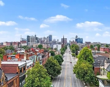 493 Delaware Avenue - Photo Thumbnail 3