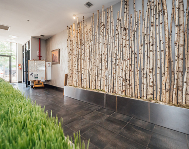 41 Kosciuszko St - Photo Thumbnail 5