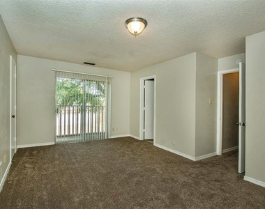12833 Pandora Drive - Photo Thumbnail 19