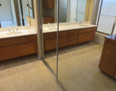 10884 Corte Playa Solana - Photo Thumbnail 29
