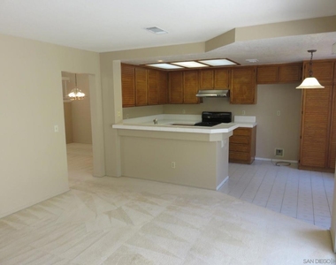 10884 Corte Playa Solana - Photo Thumbnail 15