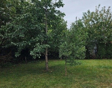 806 Oliver Avenue - Photo Thumbnail 14