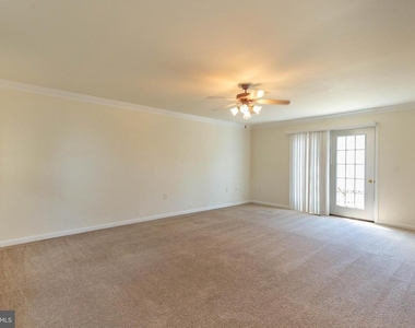 59 Stork Lane - Photo Thumbnail 4