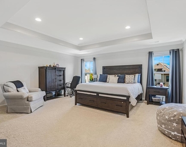42526 Oxford Forest Circle - Photo Thumbnail 14