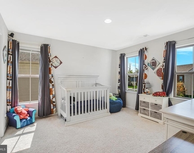 42526 Oxford Forest Circle - Photo Thumbnail 19