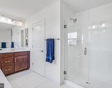 42526 Oxford Forest Circle - Photo Thumbnail 16