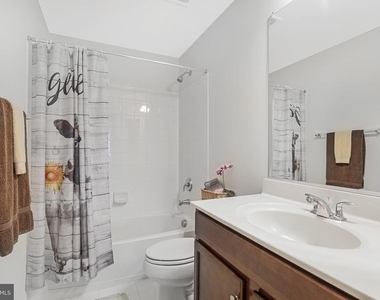 42526 Oxford Forest Circle - Photo Thumbnail 26
