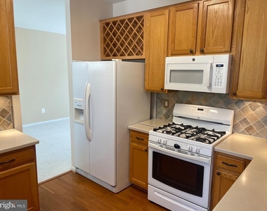 20389 Radcliff Terrace - Photo Thumbnail 7