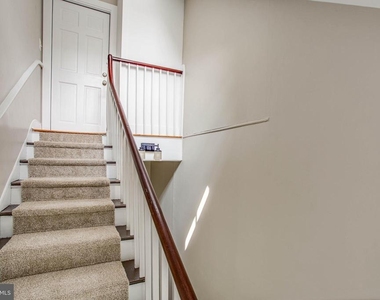 312 William Street - Photo Thumbnail 6