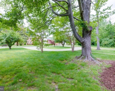 1947 Arlington Ridge Road - Photo Thumbnail 23