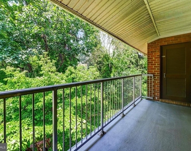101 Fitz Court - Photo Thumbnail 17