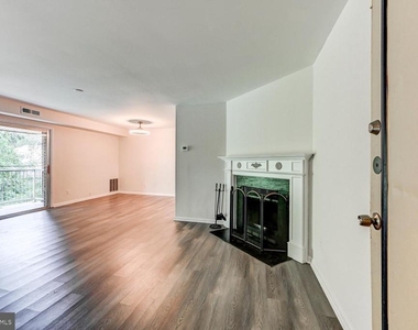 101 Fitz Court - Photo Thumbnail 16