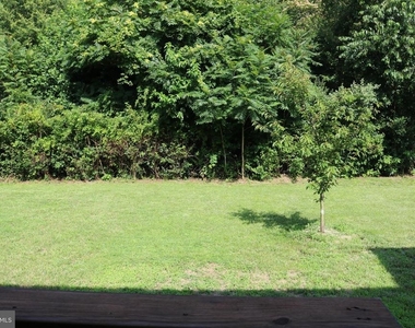 120 Salerno Drive - Photo Thumbnail 20