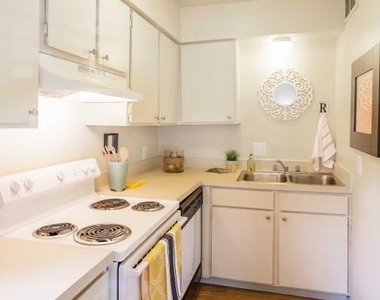 4209 Avenue B Ave - Photo Thumbnail 4