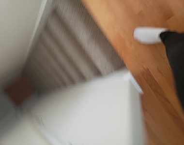 1653 N Halsted Street - Photo Thumbnail 15