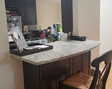 1653 N Halsted Street - Photo Thumbnail 53