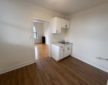 7353 N Damen Avenue - Photo Thumbnail 22