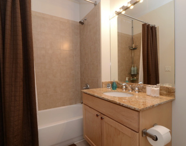 700 N Larrabee Street - Photo Thumbnail 8