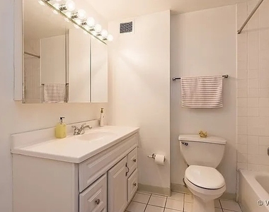 233 E Erie Street - Photo Thumbnail 4