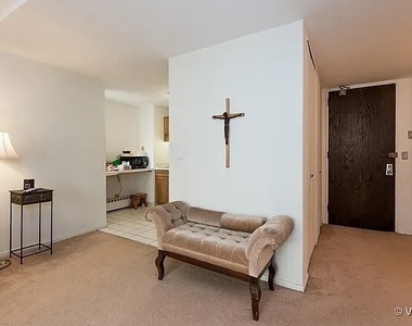 233 E Erie Street - Photo Thumbnail 5