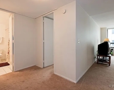 233 E Erie Street - Photo Thumbnail 6