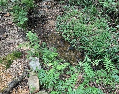 1915 Habersham Trace - Photo Thumbnail 33